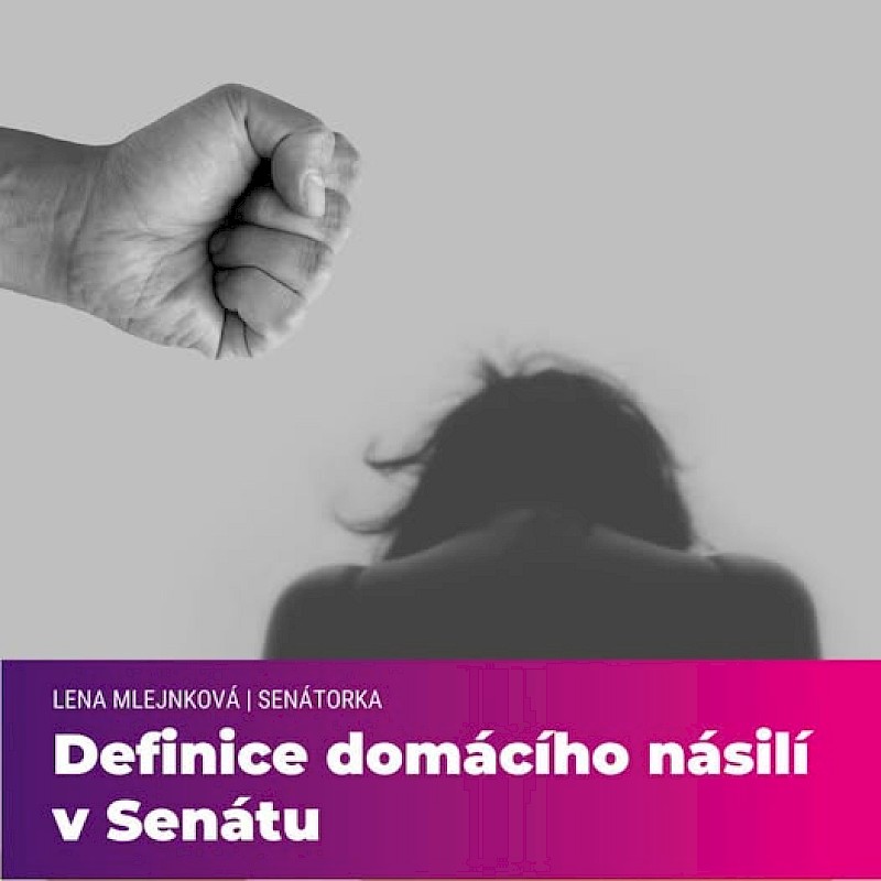 image Předložila jsem Definici domácího násilí