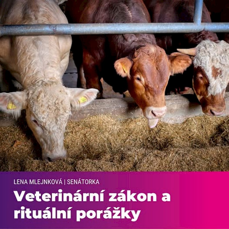 image Rituální porážky ve veterinárním zákoně