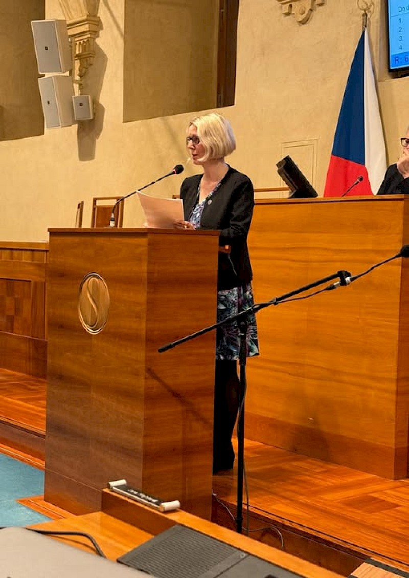 image Boj proti domácímu násilí schválen