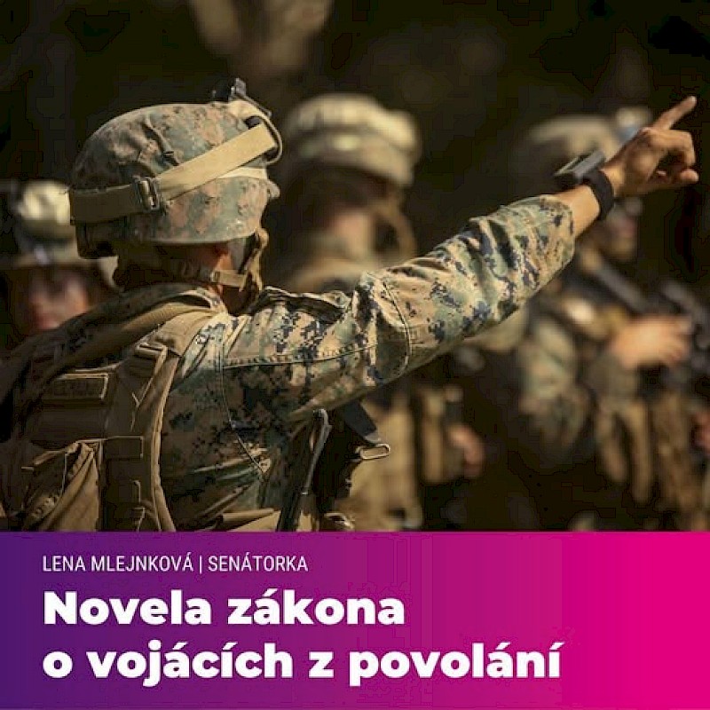 image Novela zákona o vojácích z povolání
