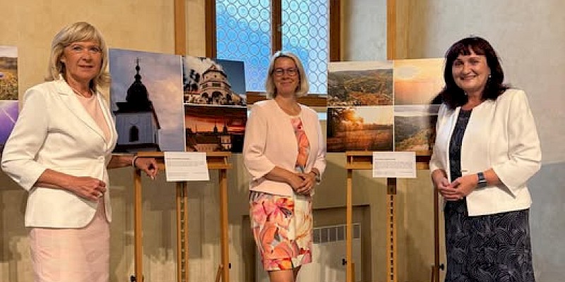 úspěchy SLK Pořádání výstav v senátu